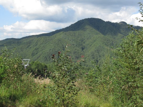 登山道